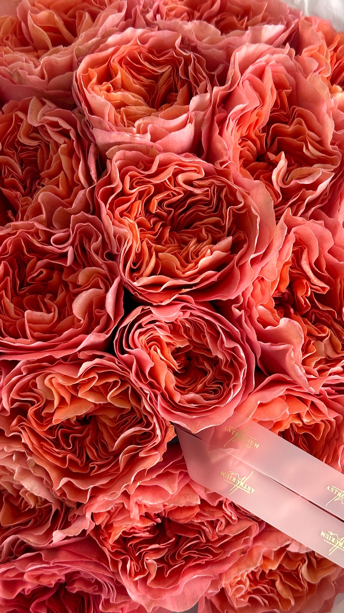 Mono-Bouquet “Candy X-Pression”