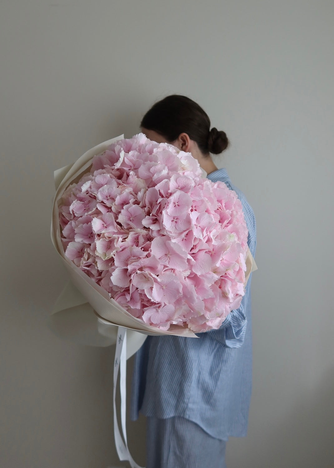 Dutch Hydrangea “Verena”
