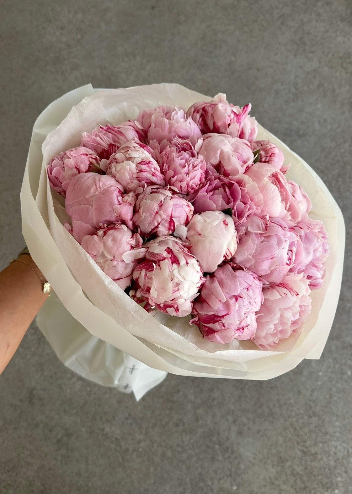 Peony “Sarah Bernhardt”