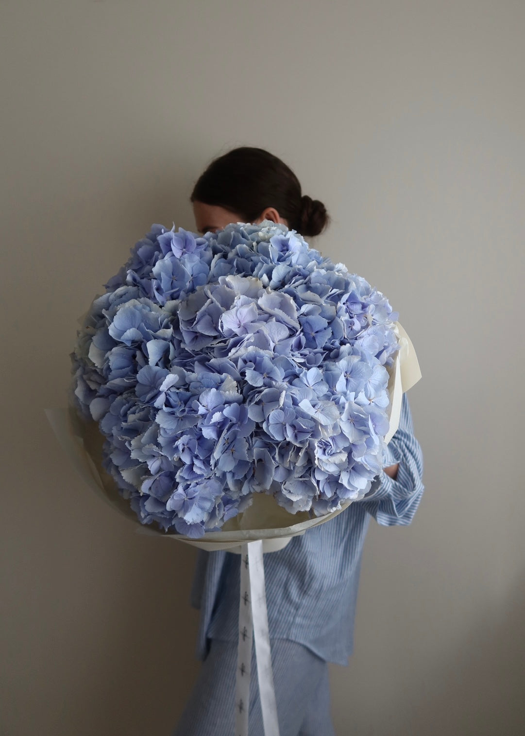 Dutch Hydrangea “Verena”