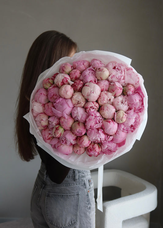 Peony “Sarah Bernhardt”