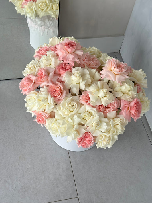 Rose Box "Innocence"