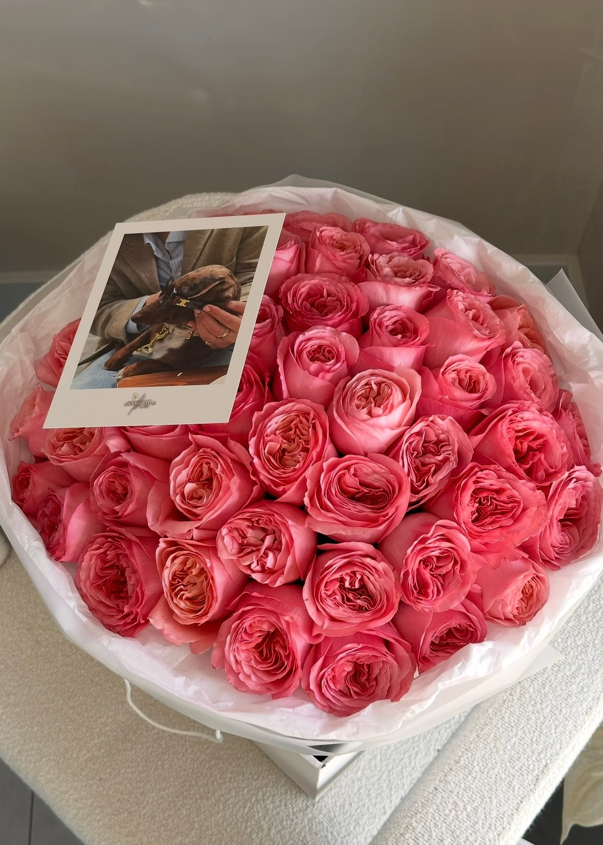 Mono-Bouquet “Pink Expression”