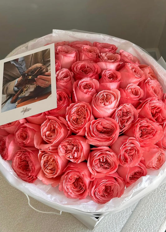 Mono-Bouquet “Pink Expression”