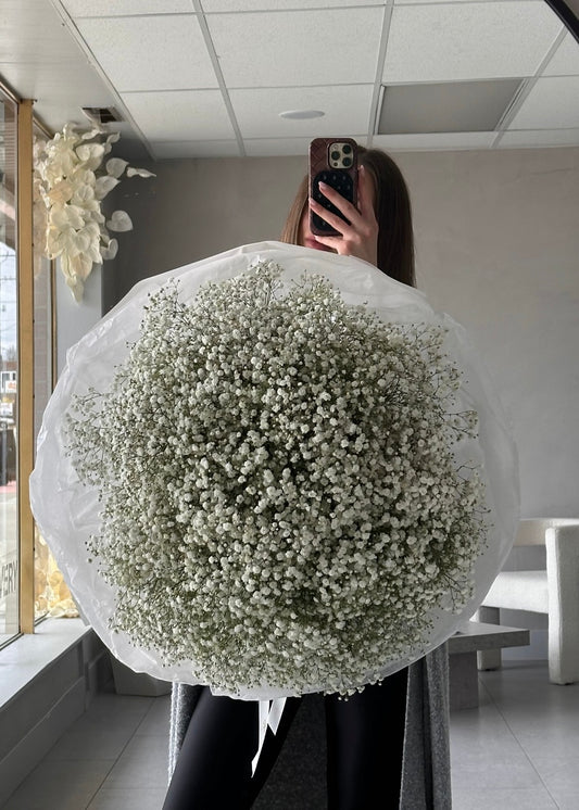 Mono-Bouquet of White Gypsophila