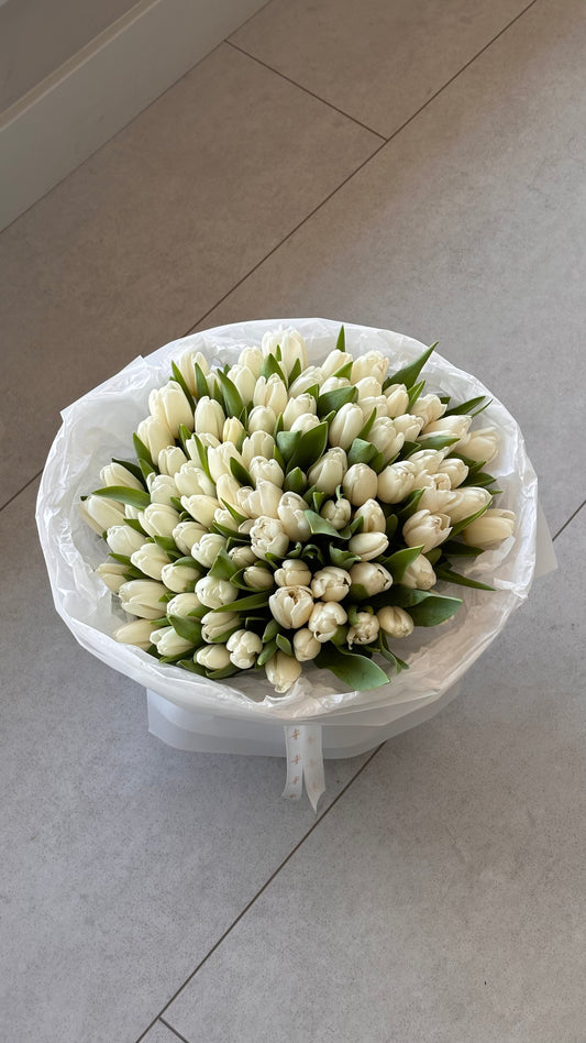 Tulip White