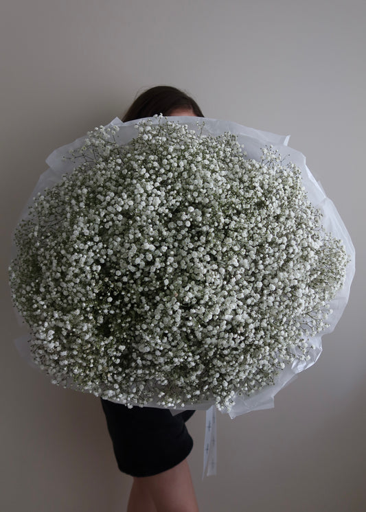 Mono-Bouquet of White Gypsophila