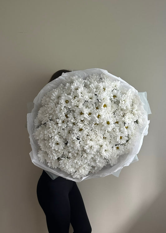 Mono-Bouquet of White Pompon Daisies